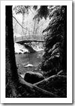 Winter in Northwoods_3767