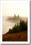 Spring (?) in Northwoods_0637