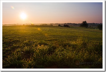 Click to view the new Lenspiration Gallery: Summer 2010