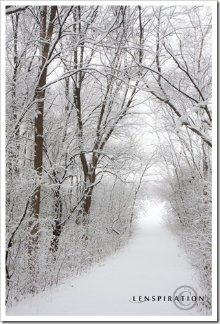 Canon 40D, 31mm, f/11, 1/100sec, ISO 200