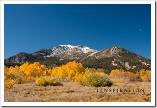 22 Mamoth Mountain, California_2950