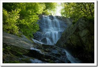 06 Apple Orchard Falls, Virginia_6878