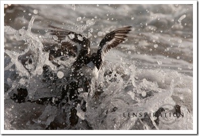 8647_Canon EOS 40D, 200 mm, 1-800 sec at f - 8.0, ISO 200