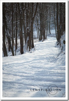 5549_Buffalo Calf Rd-Salem-WV_Canon EOS 5D Mark II, 105 mm, 1-100 sec at f - 16, ISO 400