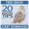 Ian Plant Free E-book
