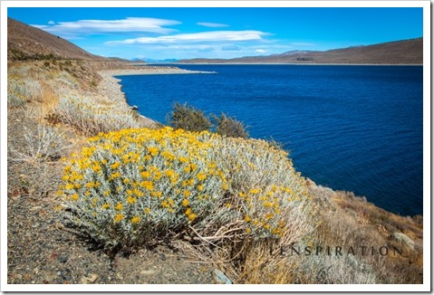 6067_near June Lake-California-USA_Canon EOS 5D Mark II, 32 mm, 1-30 sec at f - 16, ISO 50