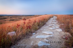 8522_Konza Prairie