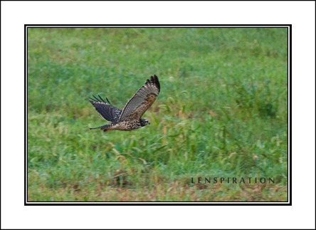 Pic of the Month: August ‘11