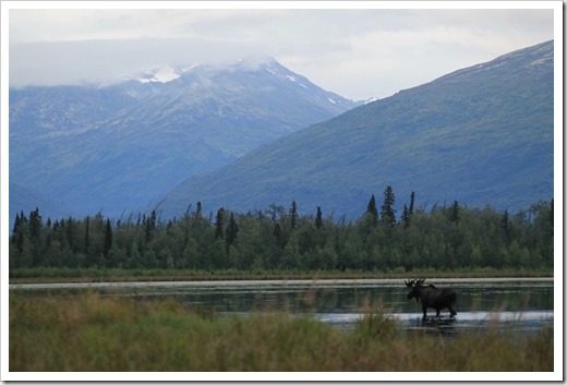 From the Perspective of the CAPTURE Alaska Photographers