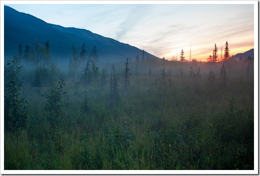 0494_Chugatch State Park-Alaska-USA_Canon EOS 5D Mark II, 40 mm, 2.0 sec at f - 8.0, ISO 400