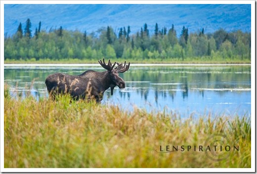 0169_Jim Lake-Alaska_Canon EOS 5D Mark II, 200 mm, 1-50 sec at f - 4.0, ISO 800