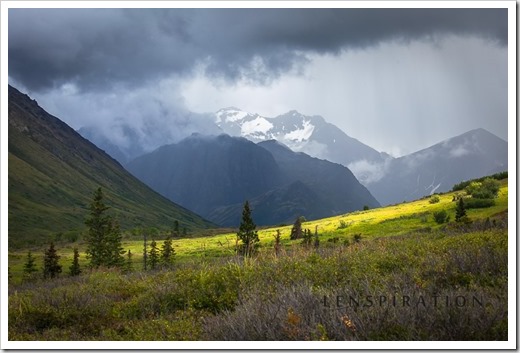 0195_Chugatch State Park-Alaska-USA_Canon EOS 5D Mark II, 78 mm, 1-250 sec at f - 8.0, ISO 200