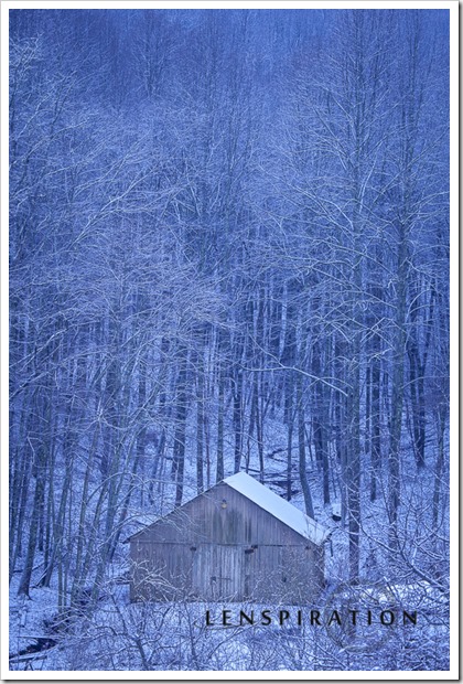 5 Tips for Shooting in Dreary January