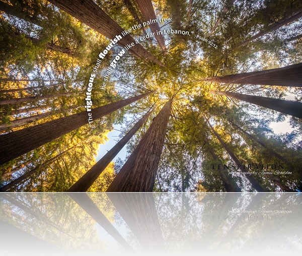 HDR3293_JAS-Santa Cruz-07614 L