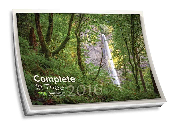 The 2016 Calendar Process
