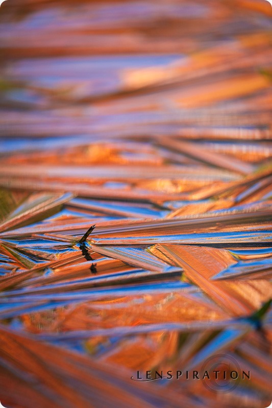 5 Tips For Shooting Before or After Peak Color
