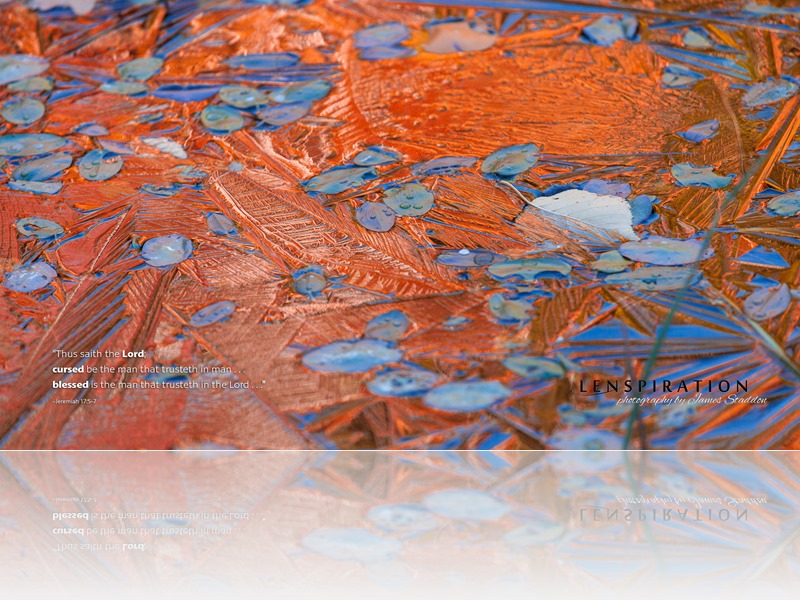 Download a Free Autumn Desktop Background!