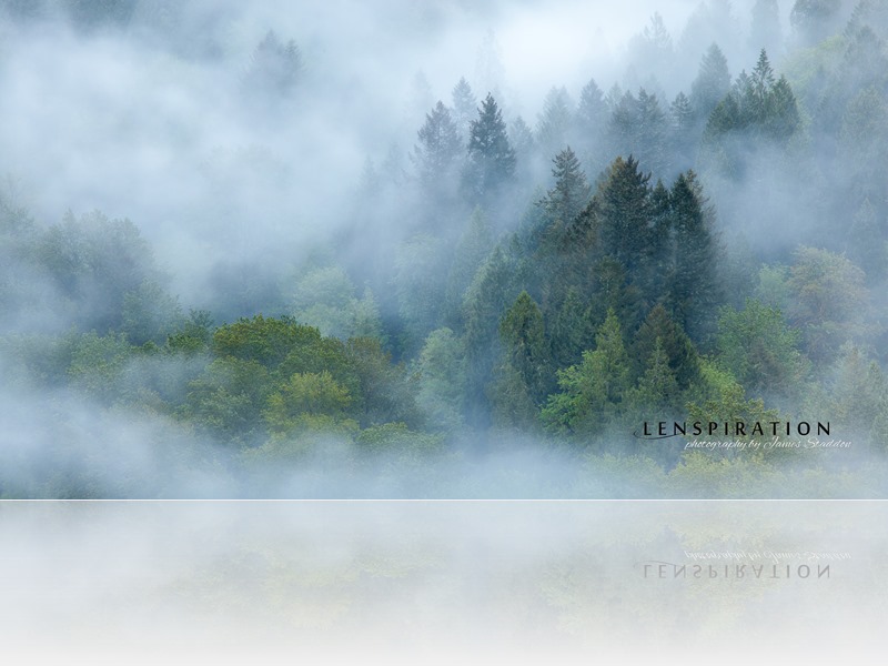 How The Shot Was Taken: Timber Island