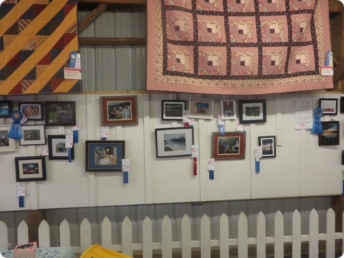 Winning These Photography Awards Was More Than A Coincidence!