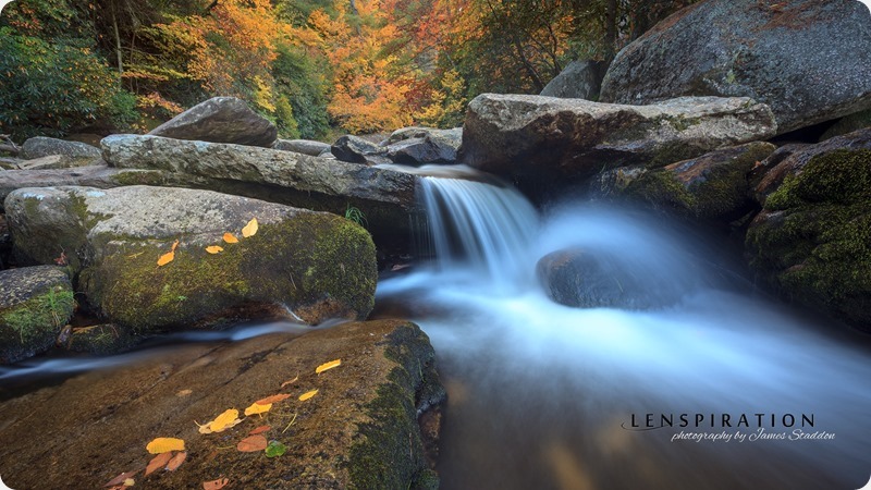Heart of Autumn