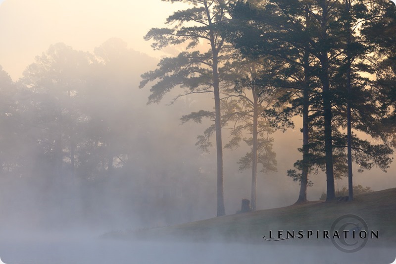 How to Be Successful in Photography
