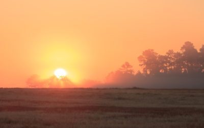 Ideas for Better Sunset Photos