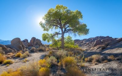 Behind the Shot: Standing Alone
