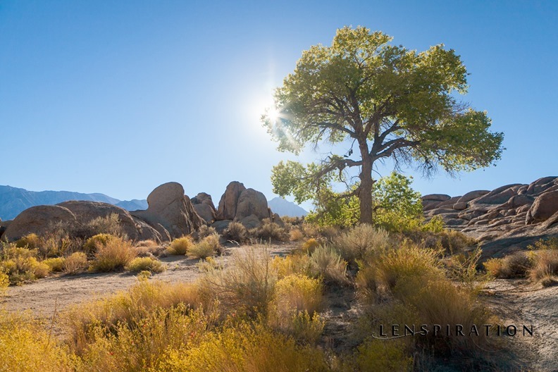 130923-JAS-5755_Alabama Hills, California, USA_Canon EOS 5D Mark II 24 mm 1-200 sec at f - 11 ISO 200