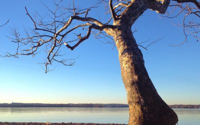 The Problem with Direct Sunlight