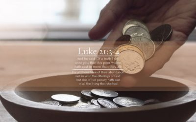 Photography From the Perspective of a Designer