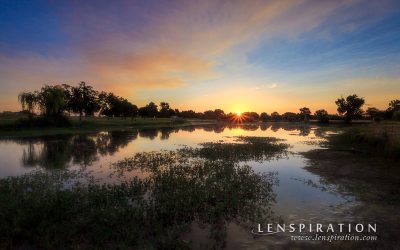 A Story From Gibson Ranch