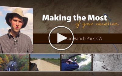 Finding Extraordinary Photos In An Ordinary Park