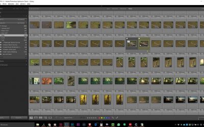 Do I Ever Delete Photos?