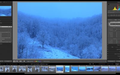 A Practical Use for “Split Toning” in Lightroom