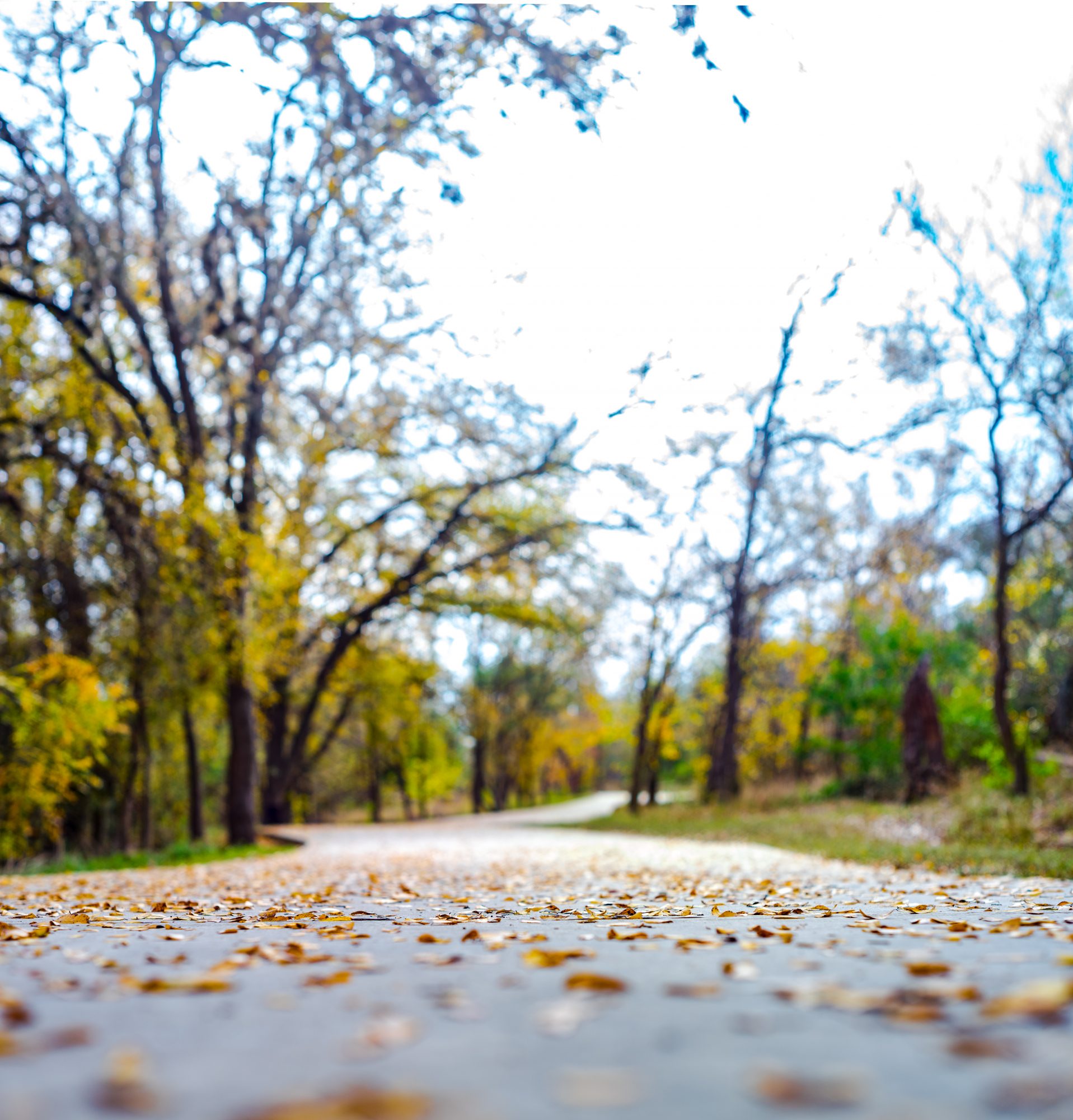 San Antonio TX Pearsall Park Lenspiration