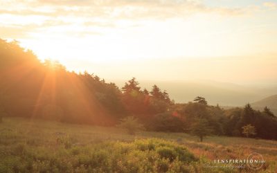How To Not Let Photography Stress You Out