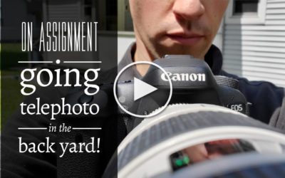 On Assignment: Going Telephoto in the Back Yard!