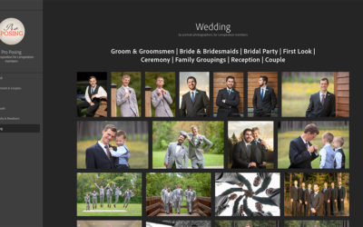 The Story Behind the Pro Posing Database