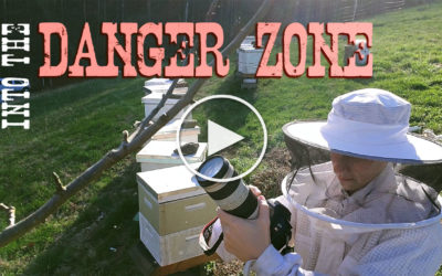 On Assignment: Into The Danger Zone