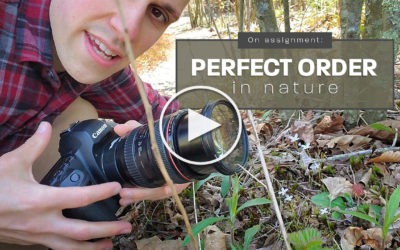 On Assignment: Perfect Order in Nature