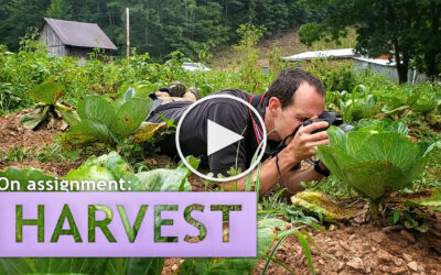 On Assignment: Harvest!