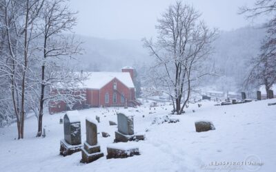 Testing A Lightroom Auto-Keywording Plugin