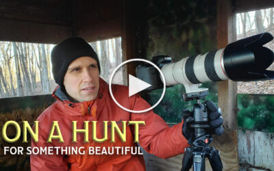 On A Hunt for Something Beautiful
