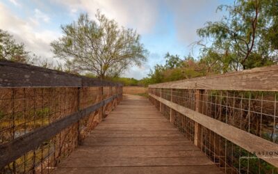Stories from Southern Texas