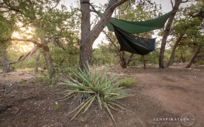 Camping Stories