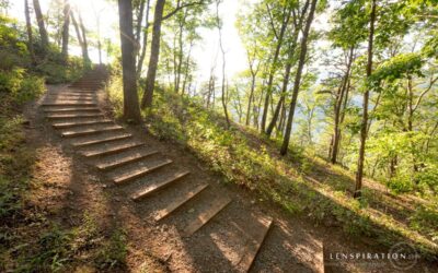 The Hike Down From Seneca Rocks