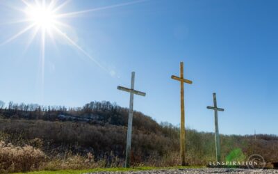 Analyzing Lens Flare