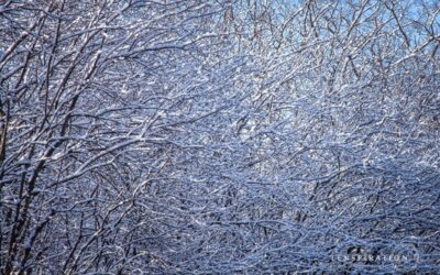 3 Snowy Photo Editing Tips