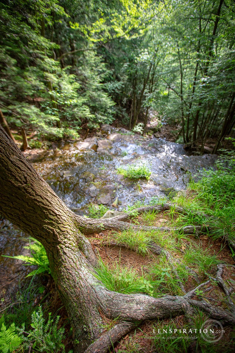 230624_James Staddon_5351 Canon EOS 5D Mark III, 16 mm, 1-400 sec at f - 2.8, ISO 400