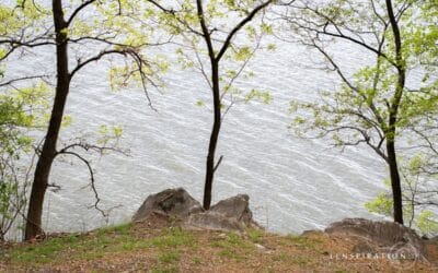 Unexpected Kentucky Landscape